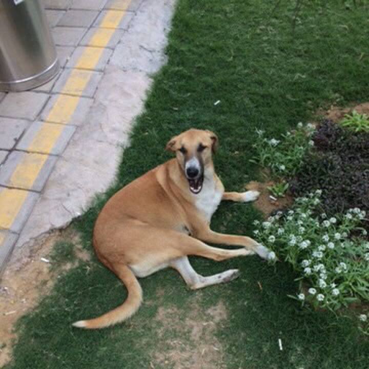 040e45fc 941c 487f b3a1 3662ec821c67