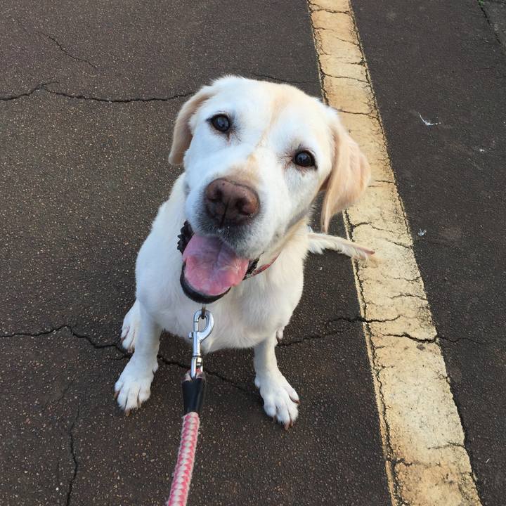 040ef321 bcbf 4230 bc64 38a71d4b3229