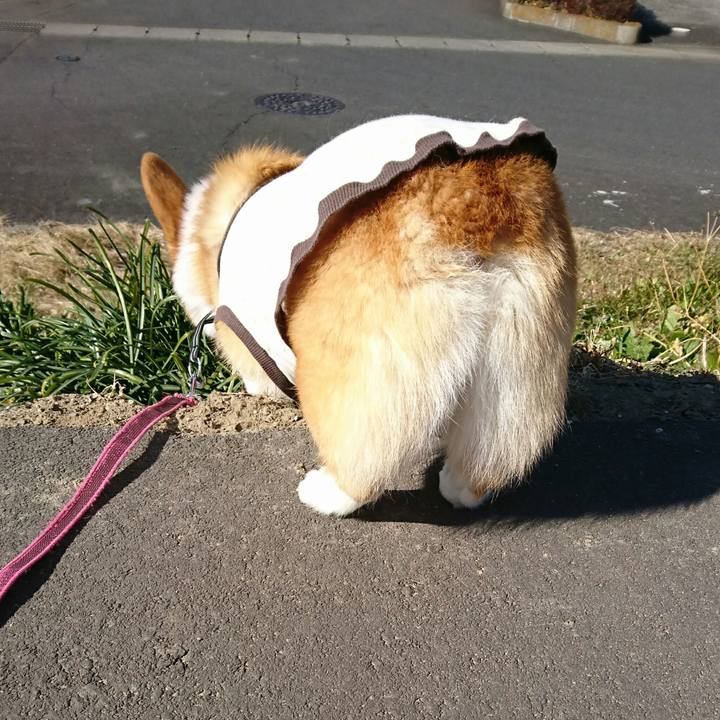 040f28ea 308b 4e6a b3b9 6772672e3f9a