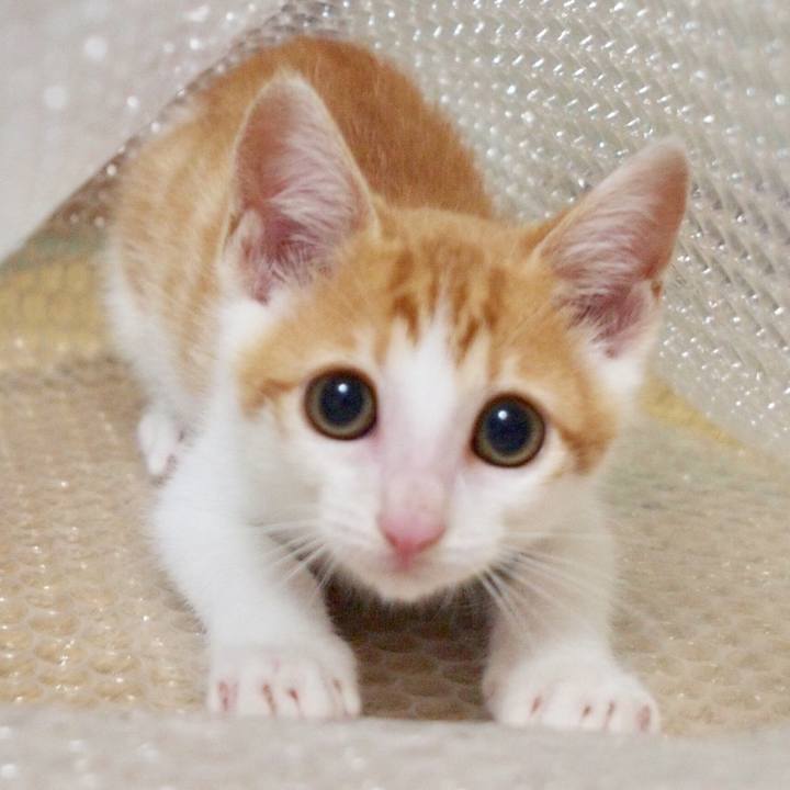 040fe1e4 f783 4317 8298 755ed3d1a834