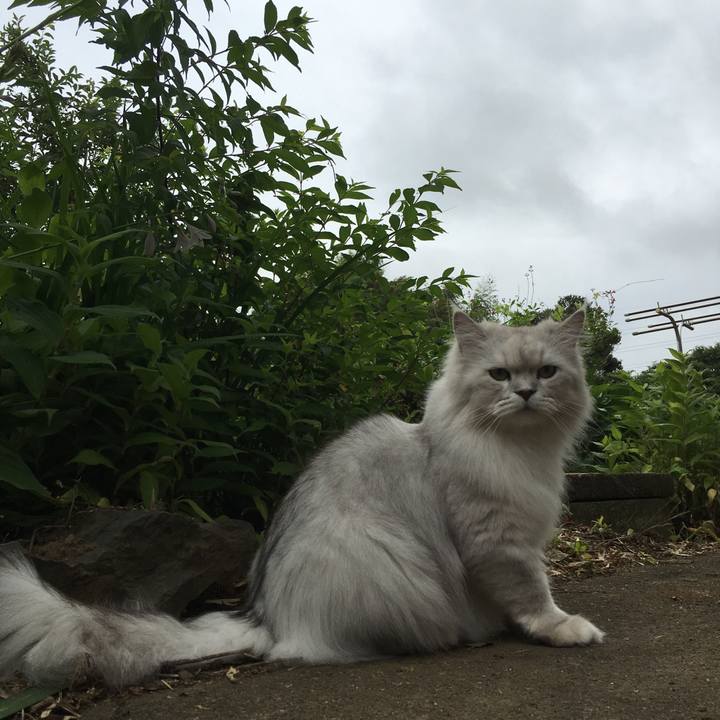 04112968 b369 4271 a395 ae8c234d8204