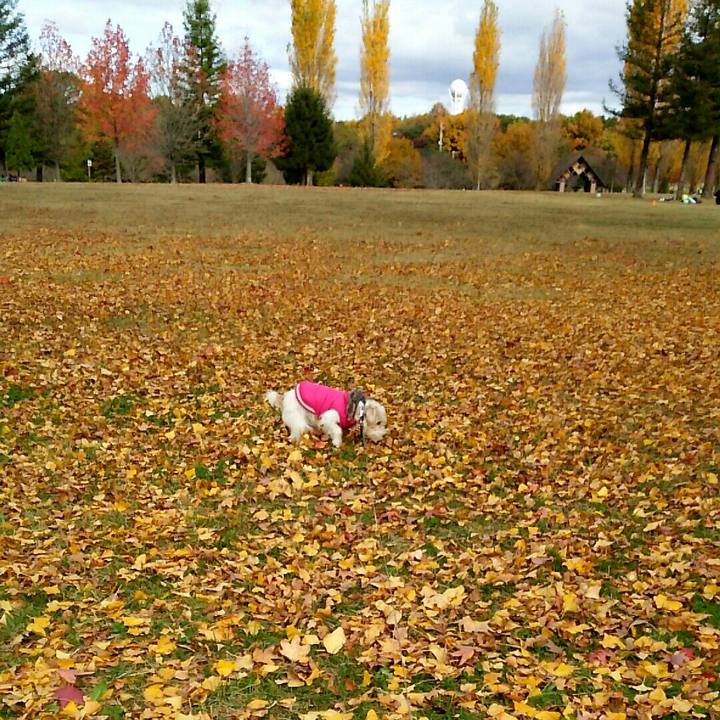 0411ba0f adca 4e1a 97e9 d6b6cc4cd1b8