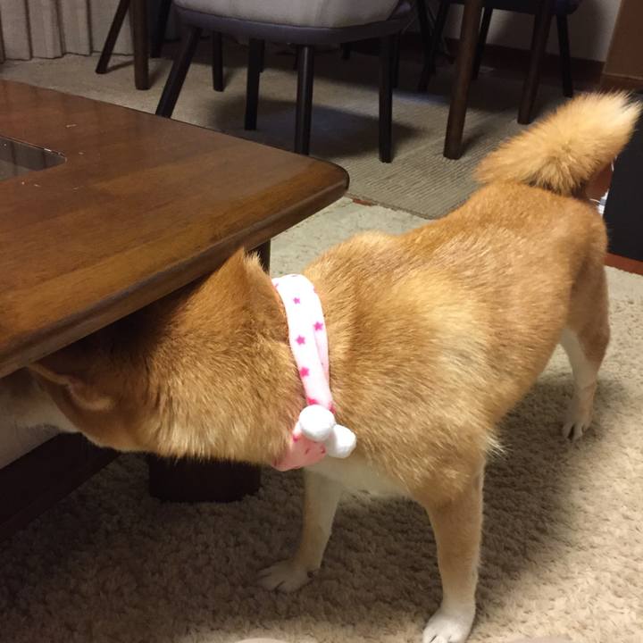 04121697 76f7 46ab 9ede da0f4cb99832