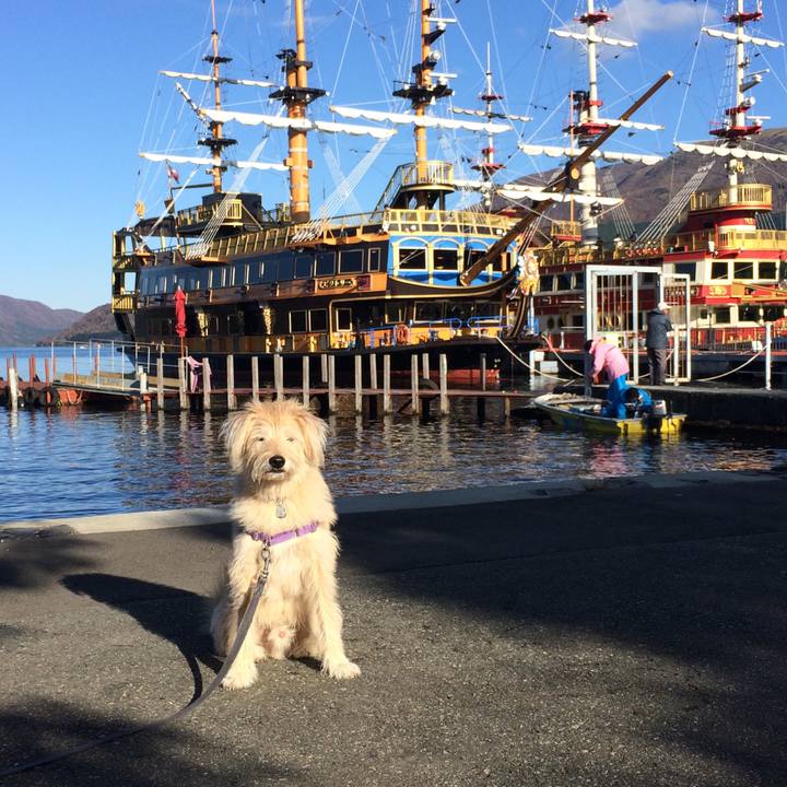 041249c4 6db8 4f67 8a49 ab4322ac5db7