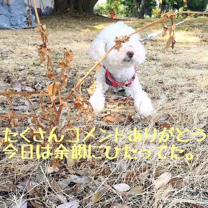 0413477b f739 4b8f 9275 86e5db9ace29