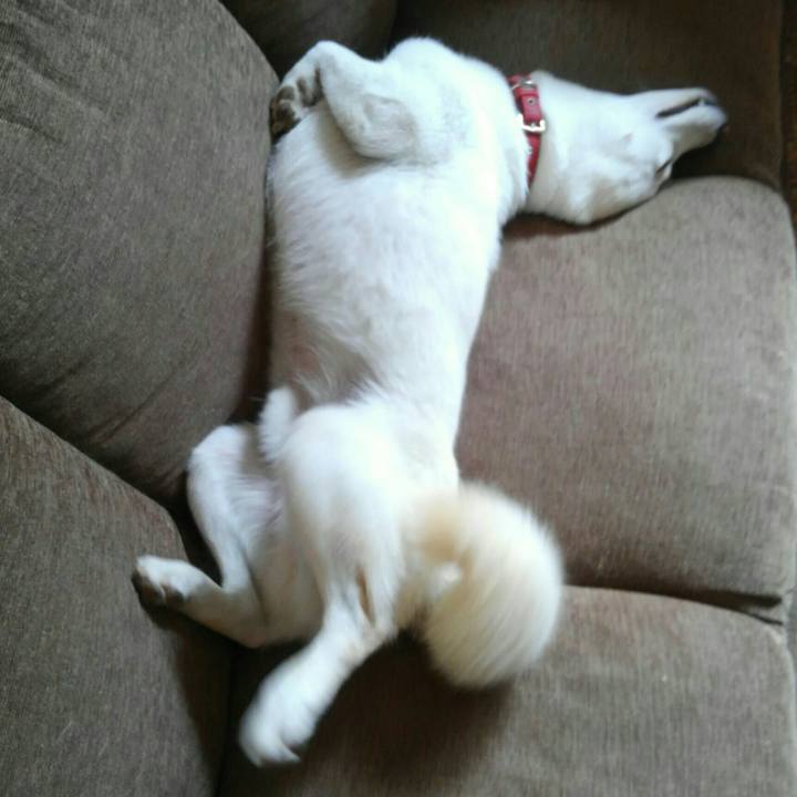 041373d0 cd6d 474a 82bf ccc4f2a7f077