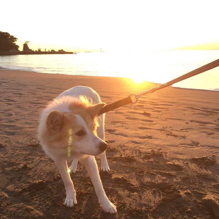 04137988 7cfe 4a12 8443 0ba3d04b666b