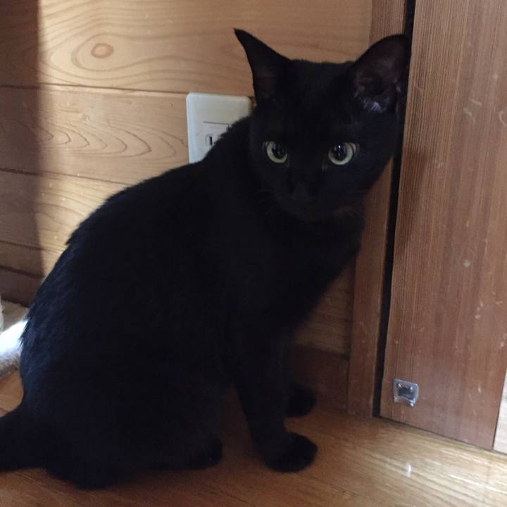 0413b018 e386 4e0a aec7 9245835a7df1