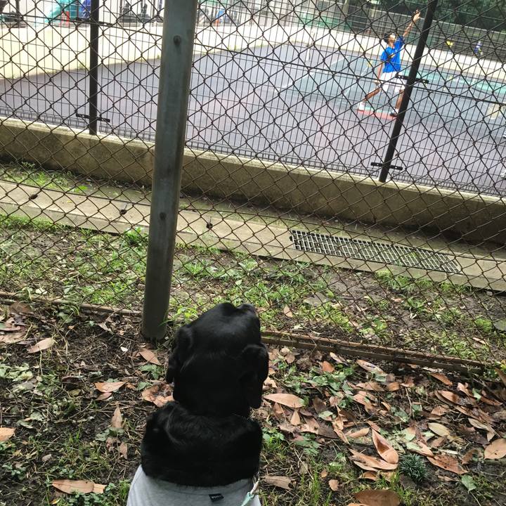 041465a3 d329 4ade 930b 828ca16c5bb3