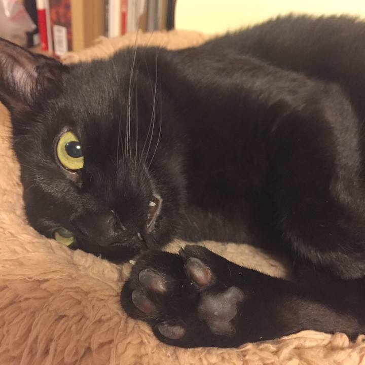 0414664a 8ed0 4775 a4c6 9fea40128a8a