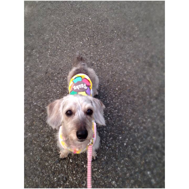 04146660 5eca 4d2b af3d a2381fbe6a47