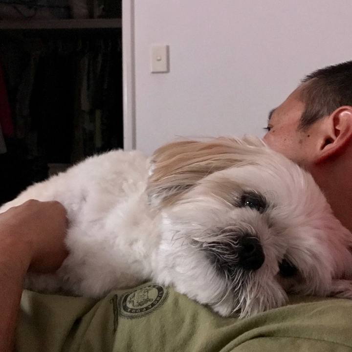 04155ac6 24bc 4f50 a476 c3c7f7e8e05e