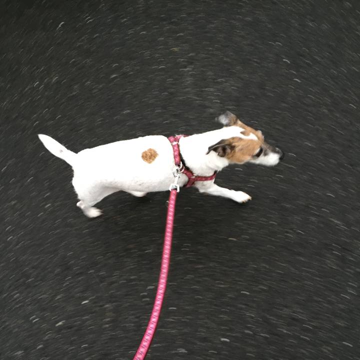 0415f110 188f 45c2 bd48 3e3ff4f117df