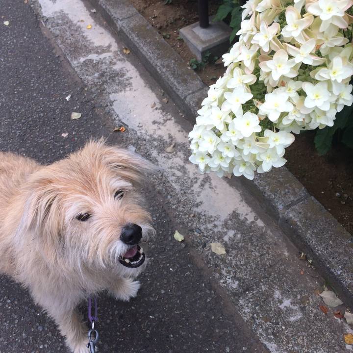 04162f99 dacb 4620 9dc3 b8fd5ae60987