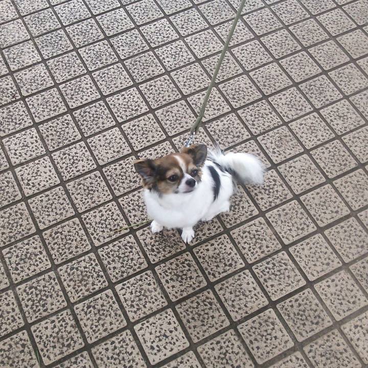 0416cbdc 14e7 4b79 9f26 a3c05fa47ca8