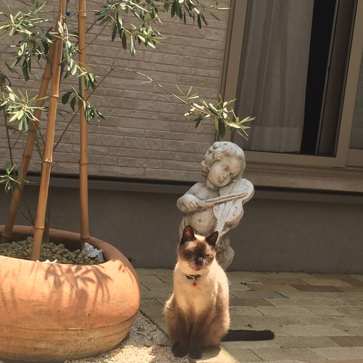 04175c61 b570 48f0 84fb 173b352845a0