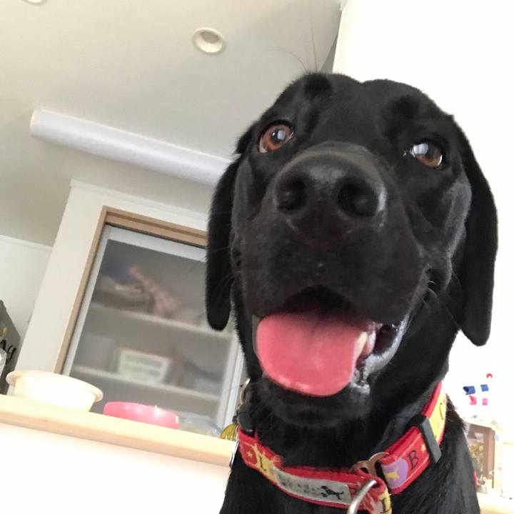 041787e9 0dc5 414c baa4 016063078e09