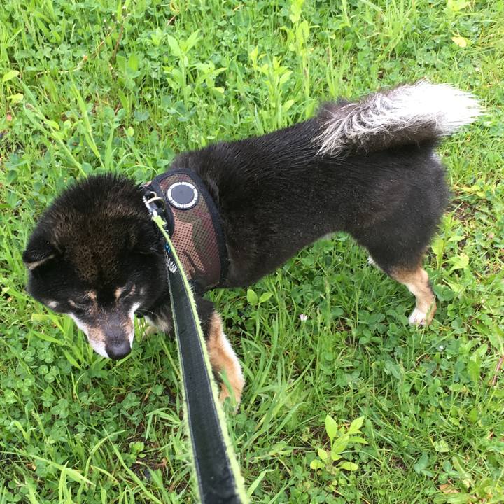 0417c049 ad44 4b06 99d6 124c9d255ab5