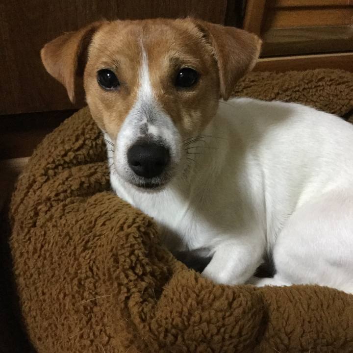 0417d357 dfe7 4be2 be44 043da2e9086c