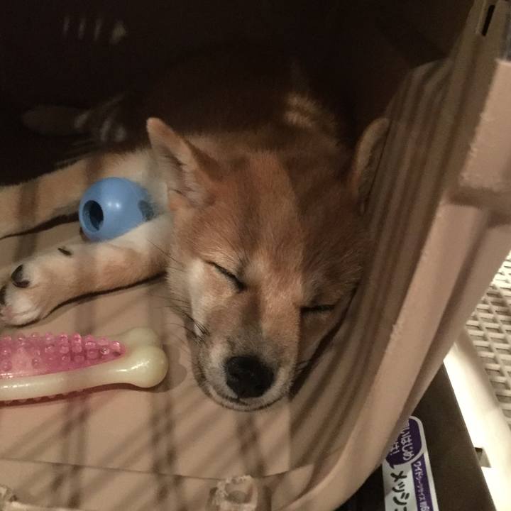 0417e590 6378 45d6 8826 27783a904308