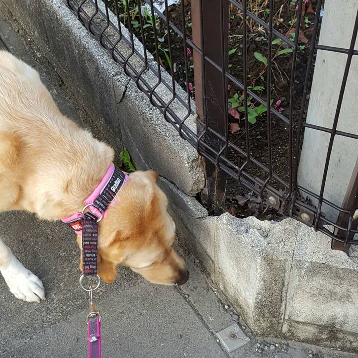 0418623b 5ede 49bb a490 822469c77218