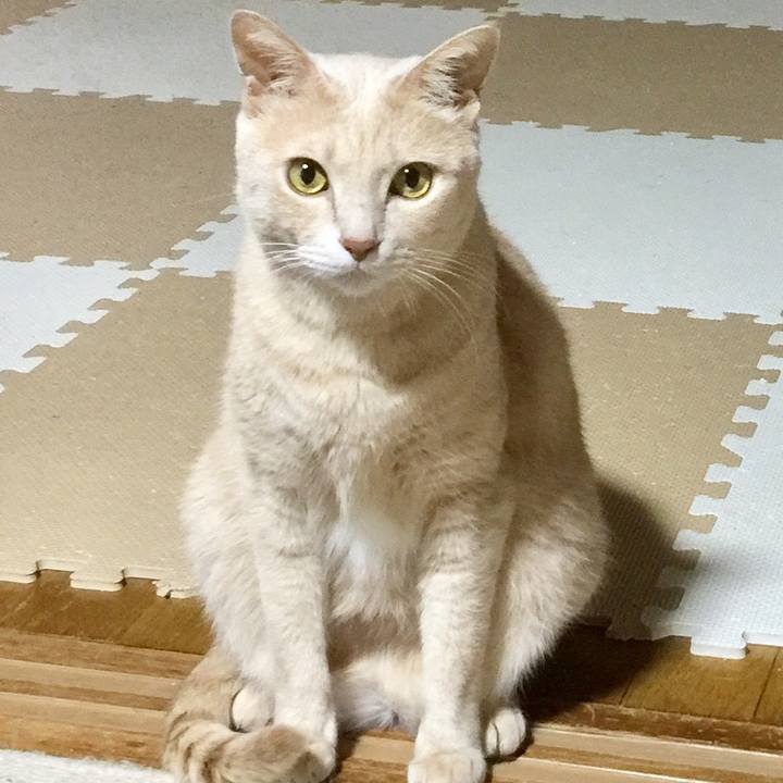 041866b2 b93f 4f26 aa93 83a88960570b