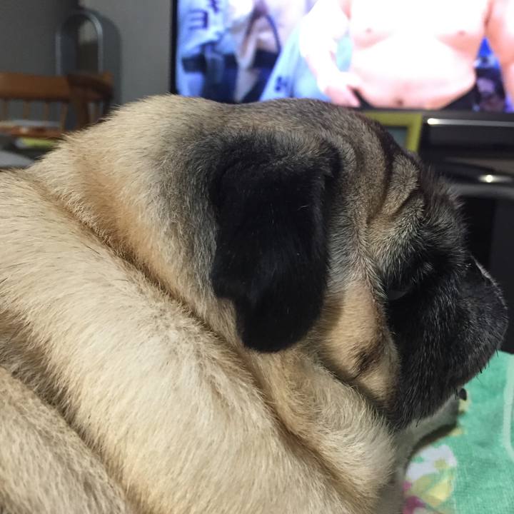 0419715a a7cc 4ad8 a9b7 5dabcc50f8dd