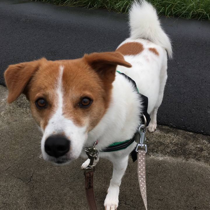 04199c4b 169c 4e62 a7b3 26bf1f2969f7