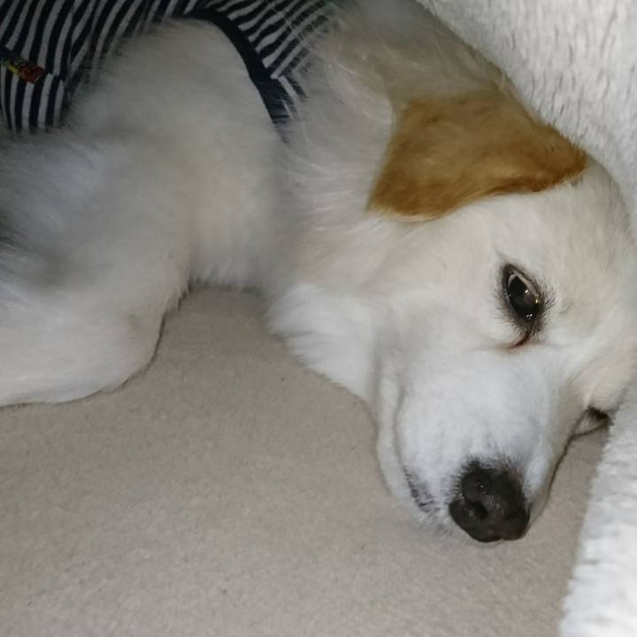 0419bf2e d9f3 42e3 9171 3df40f441ced