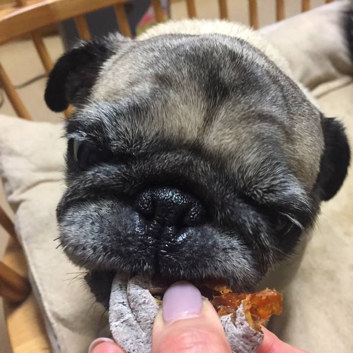 0419f8ba da08 46c6 a1c3 9d66027e1e26