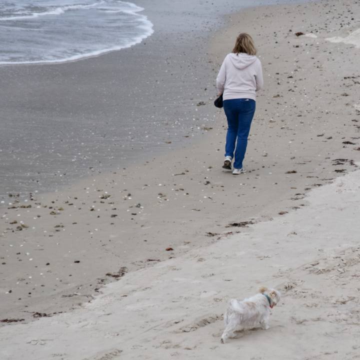 041a5393 55e0 494d a2ee 3507e67278a6