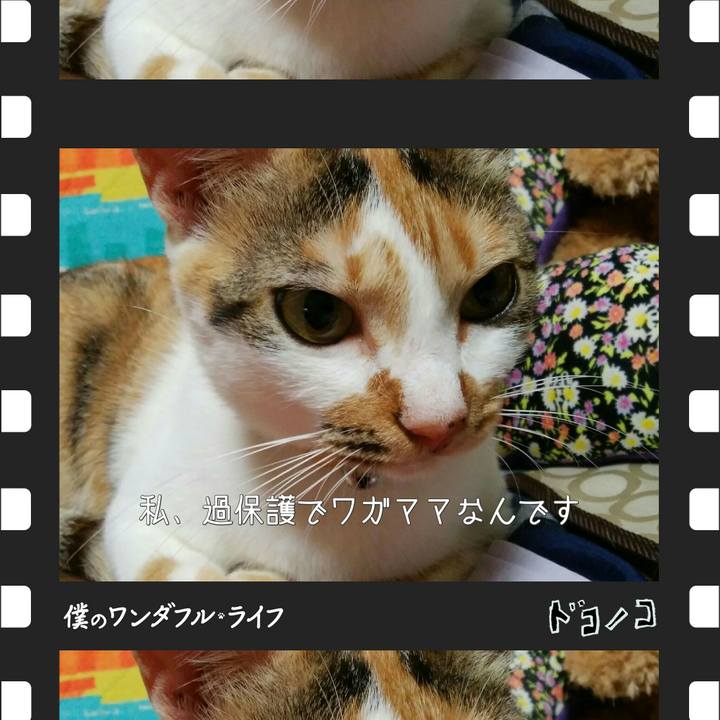 041b060a d0e1 4b37 887d cd8aad02cfd4