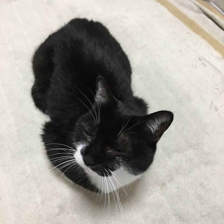 041bde95 cfd0 4964 a62a d3f58e1360f7