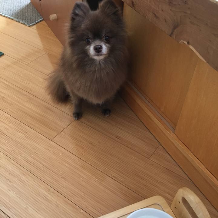 041c521a 7012 495a 8e27 d567144448c7