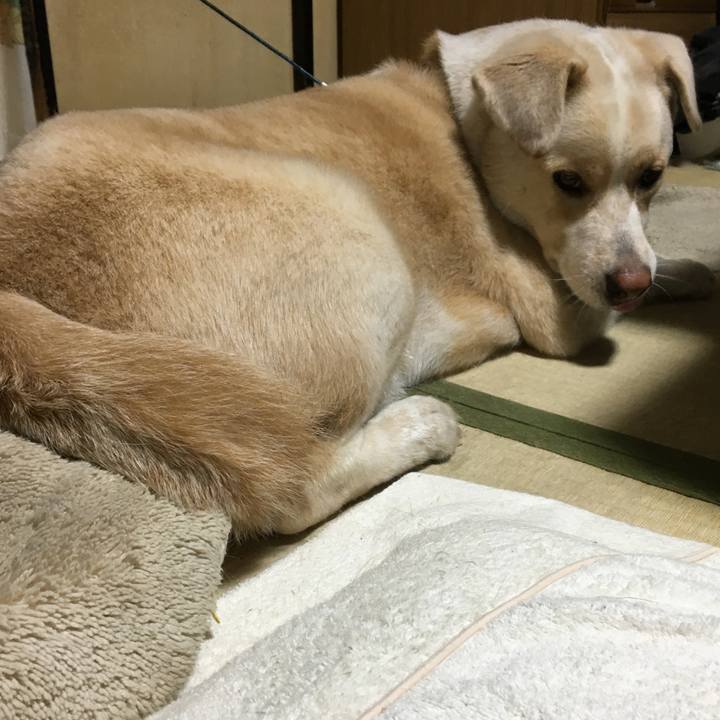 041ca8c7 9e19 4e31 b074 dadd6088b800