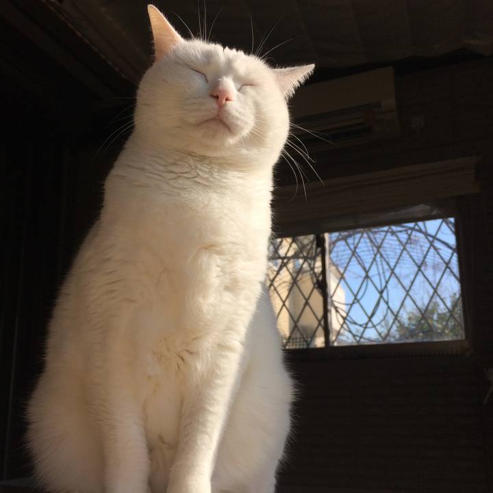 041ceb8f 97ab 4ffc 89db 13ad7fba8430