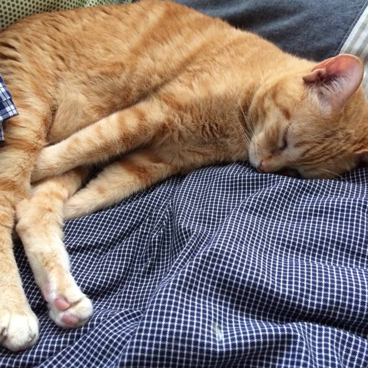 041cf85b 03d4 4903 80b4 d0c108297cd9