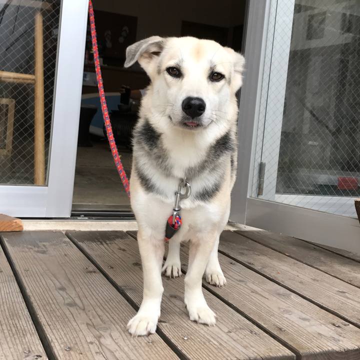 041df8a4 3eb7 45db b17c 949ea7f4b8c3