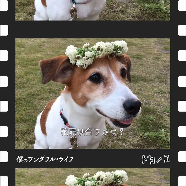 041e23c9 1295 4f57 b8c8 2d9ee978c9ad