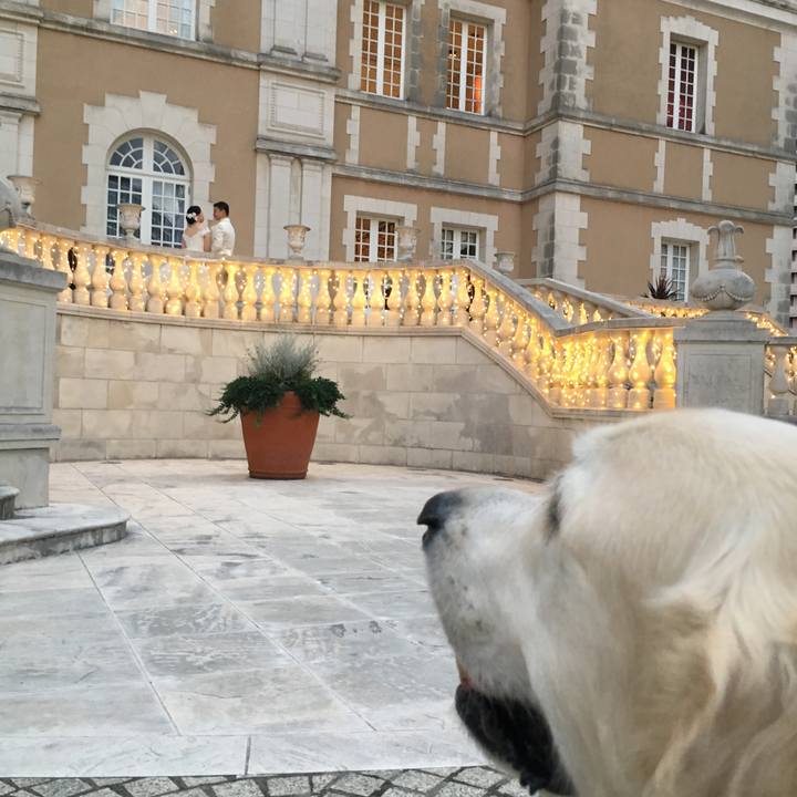 041e6052 aded 4643 bf75 84aafc514ad3