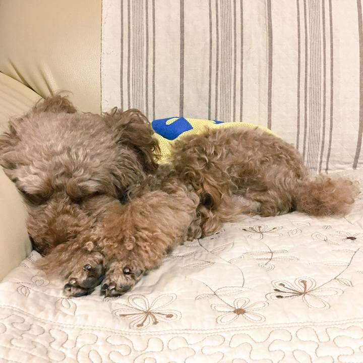 041ed89e 703f 4fd9 b662 986873823a9e