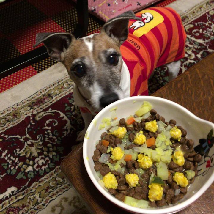 041f03cb 25ff 4b52 9a49 ff828ff9ad33