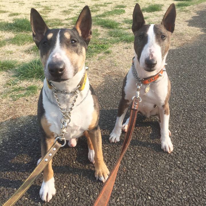 041f249c d6a0 4bd8 9544 a48ed6cee283