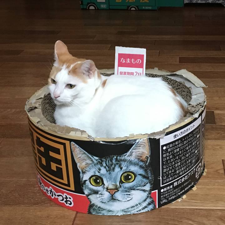 041f461b 33aa 41a7 8e72 ea4c7a68ce99