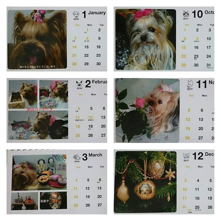 041f5966 b354 4078 9f6b 58832157a2e8