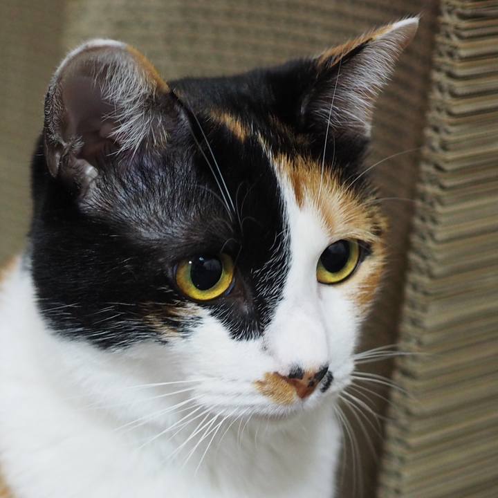 041f5f91 75e9 49c7 a1e0 4cb97ea0a7c9