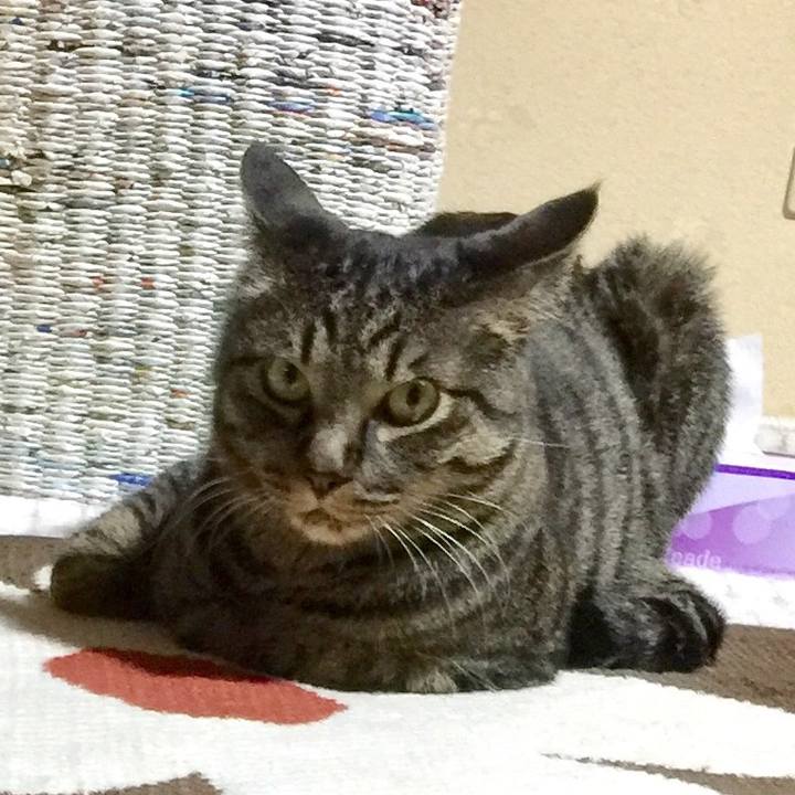 041fffff 1ad7 4439 8a11 26550f1cb7af