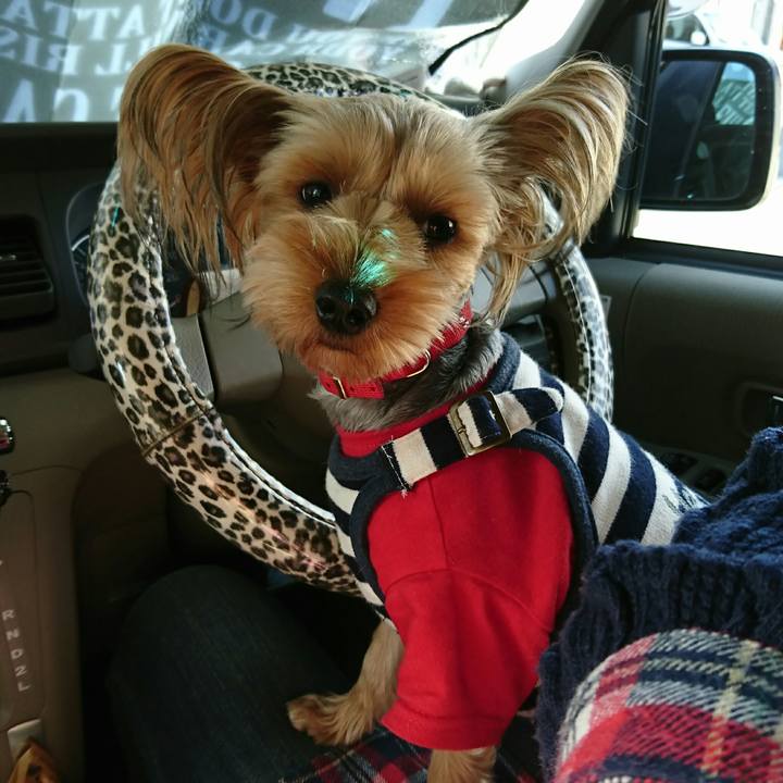 0420021a cb36 4921 9b5e 35f5e1c8c55a