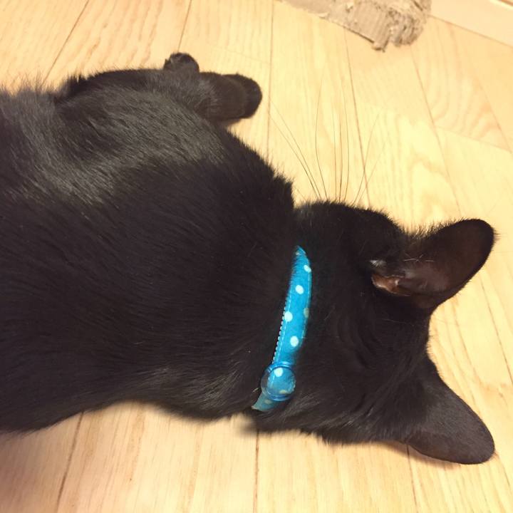 042023ed 159a 4481 9612 b3fececbcacd