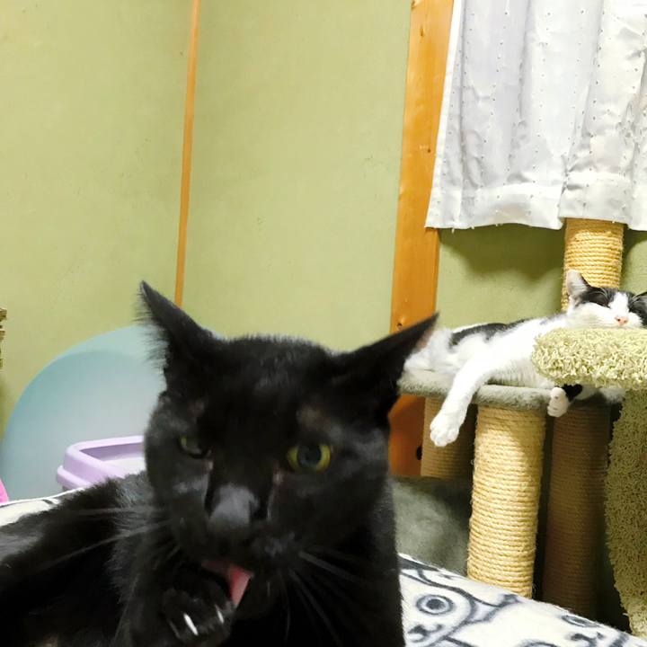 042069a1 7f76 40c1 97e0 305f4c906b83